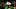 kenyon sadiq Oregon Ducks nfl draft visit kansas city chiefs travis kelce bri amaranthus philadelphia eagles dan lanning kenyon sadiq Oregon Ducks nfl draft visit kansas city chiefs travis kelce bri amaranthus philadelphia eagles dan lanning
