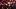 Ankalaev during UFC 320 Ankalaev during UFC 320