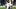 New England Patriots cornerback Christian Gonzalez during the third quarter against the Seattle Seahawks.