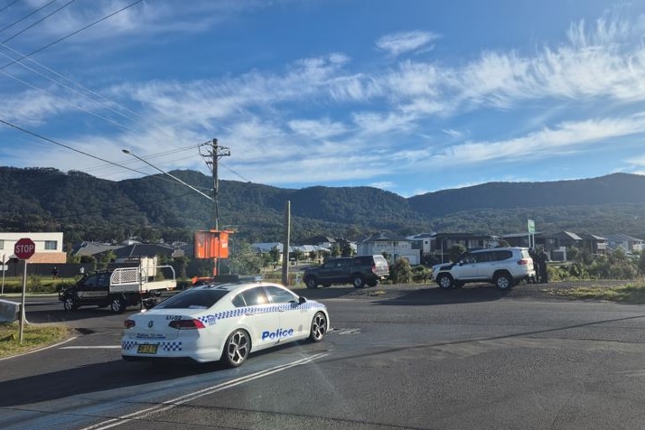 A police ar at an intersection in a semi-rural area.
