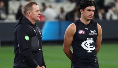 Carlton provides positive Hollands update