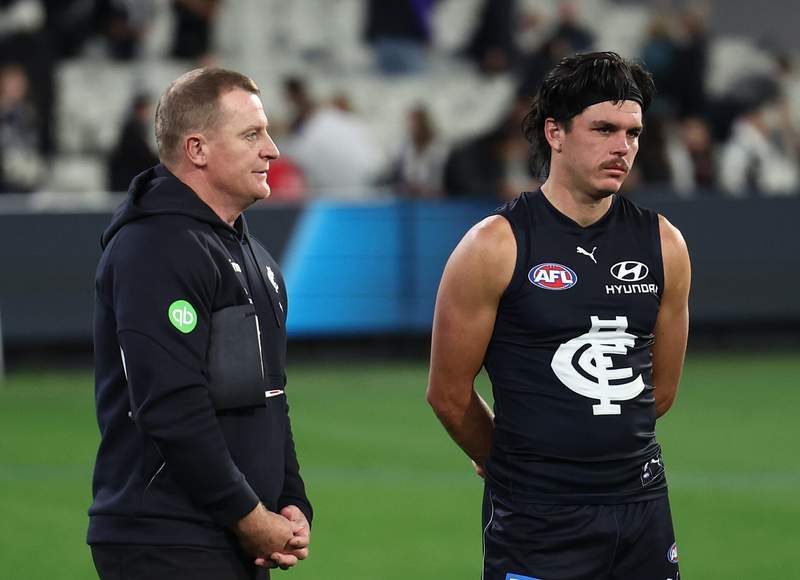 Carlton provides positive Hollands update
