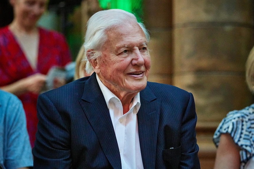 An old man in a dark navy suit, white shirt, no tie sitting in a crowd with blurred out pillars behind him.