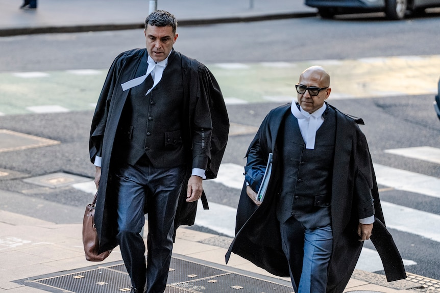 Dauid Sibtain SC outside court for the Rebel Wilson defamation hearing