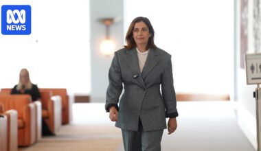 Sports Minister Anika Wells repays $10,000 in travel costs after audit