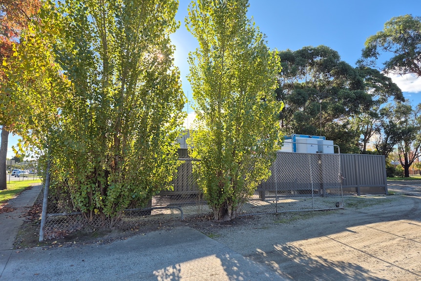 Two tall green trees in front of a grey fence that protects a small battery energy storage system.
