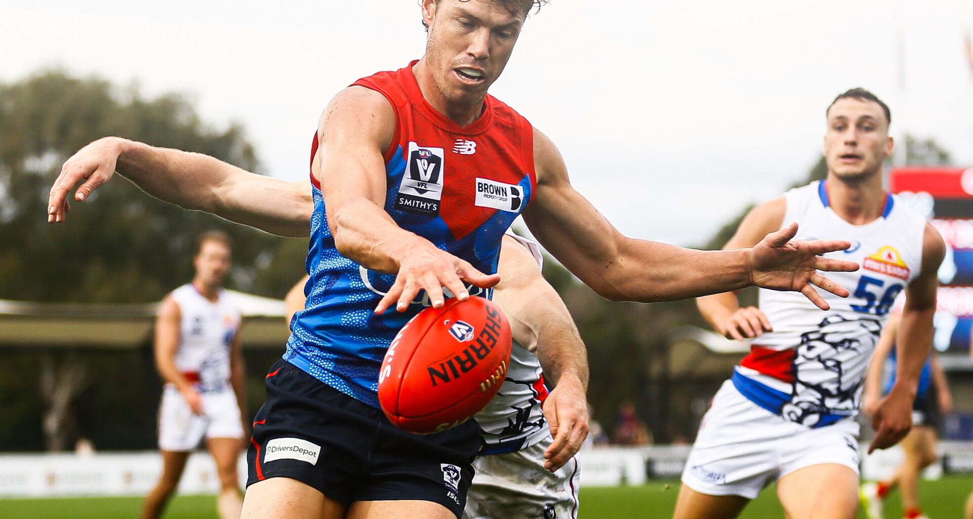 Veteran Demon shines | VFL Player Review