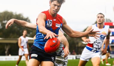 Veteran Demon shines | VFL Player Review