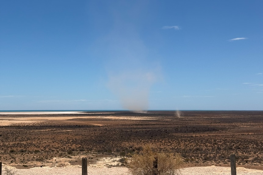 A landcape of a sandy, shrubby coastline with some dust kicking up into a willy willy formation in the background.