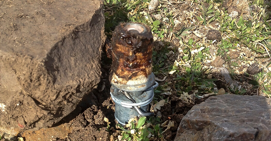 Trump Administration Lifts Ban on ‘Cyanide Bombs’ on Public Lands