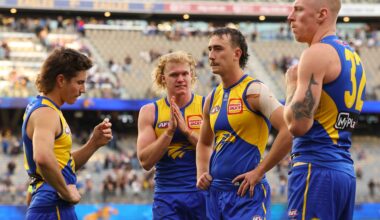 AFL to build new framework for club 'special assistance' packages