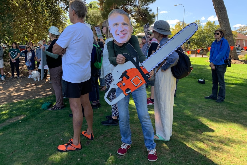 A person holds a cardboard cut out of a chainsaw and a mask bearing the face of Peter Malinauskas