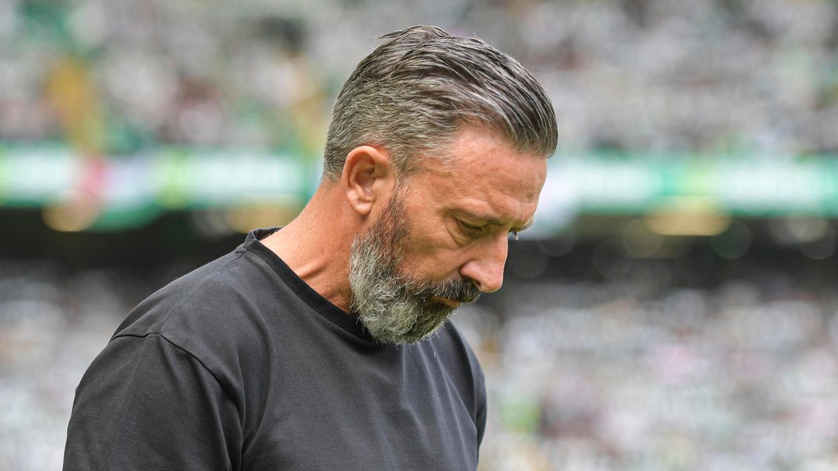 Daily Record