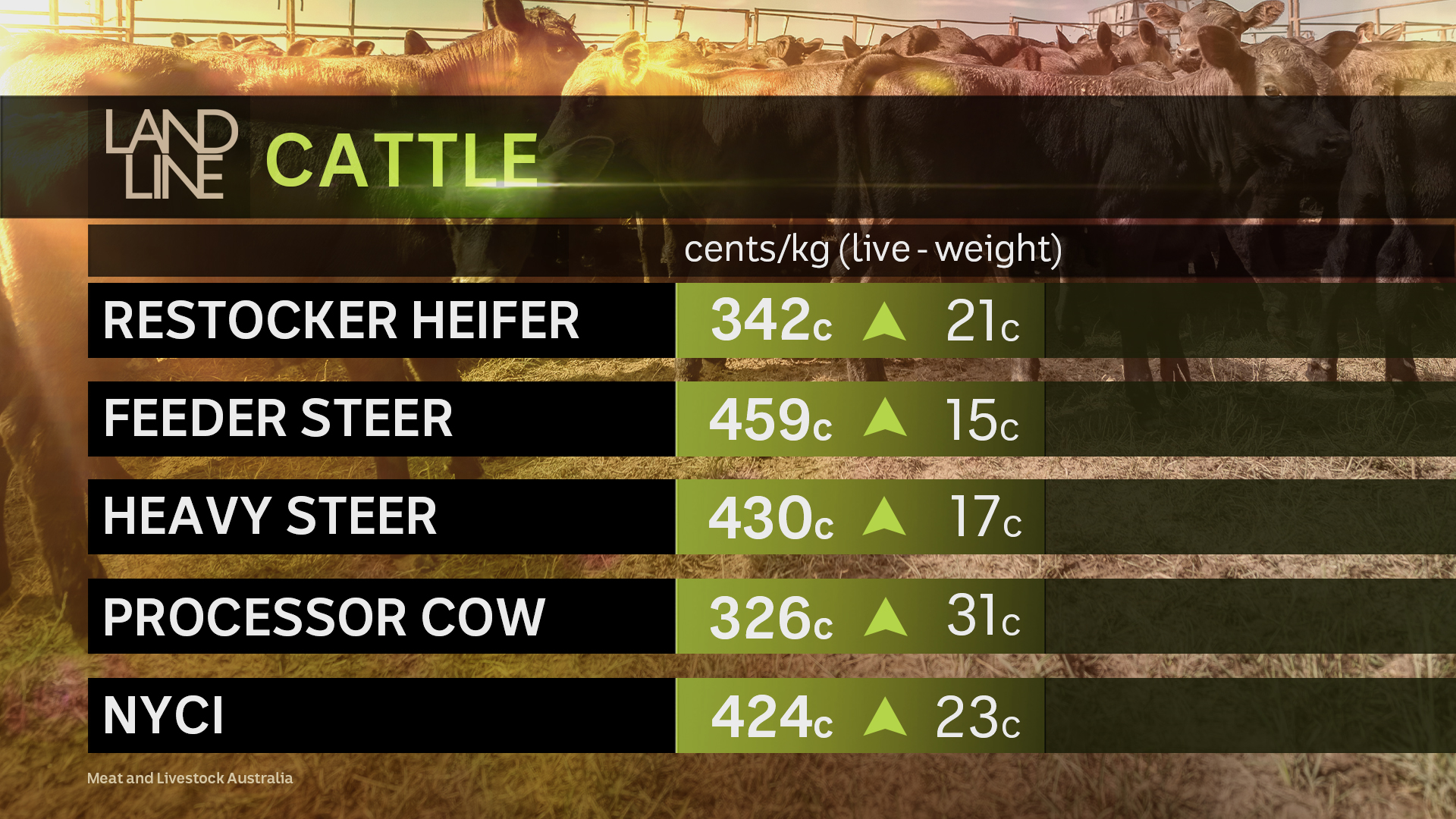 Weekly cattle prices