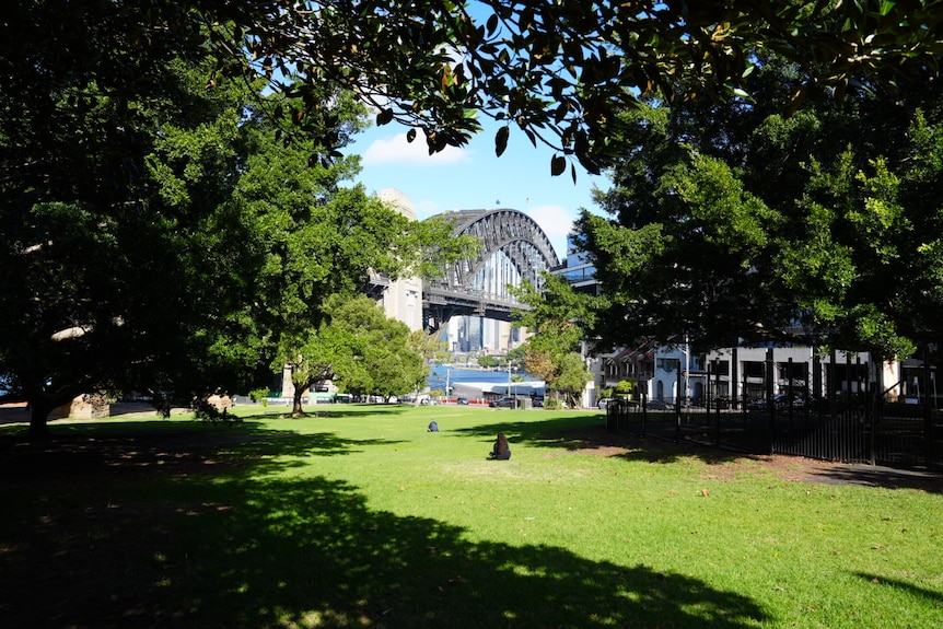 Bradfield Park in North Sydney on a sunny day.
