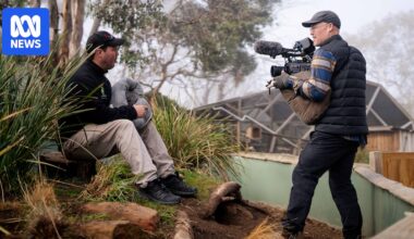 Tasmania's Bonorong wildlife hospital to star in Paramount+ series The Animal Sanctuary