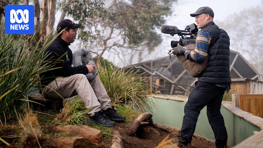 Tasmania's Bonorong wildlife hospital to star in Paramount+ series The Animal Sanctuary