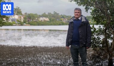 Residents fear Oyster Bay shallowing out and becoming mudflat