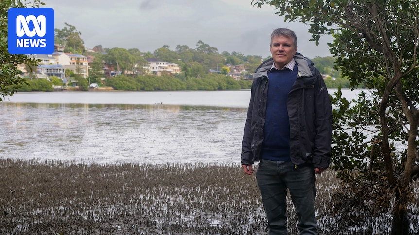 Residents fear Oyster Bay shallowing out and becoming mudflat