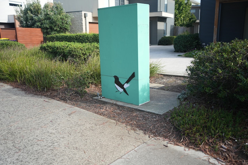 A piece of infrastructure on a Torquay street is seen painted green with a wagtail painted on it.