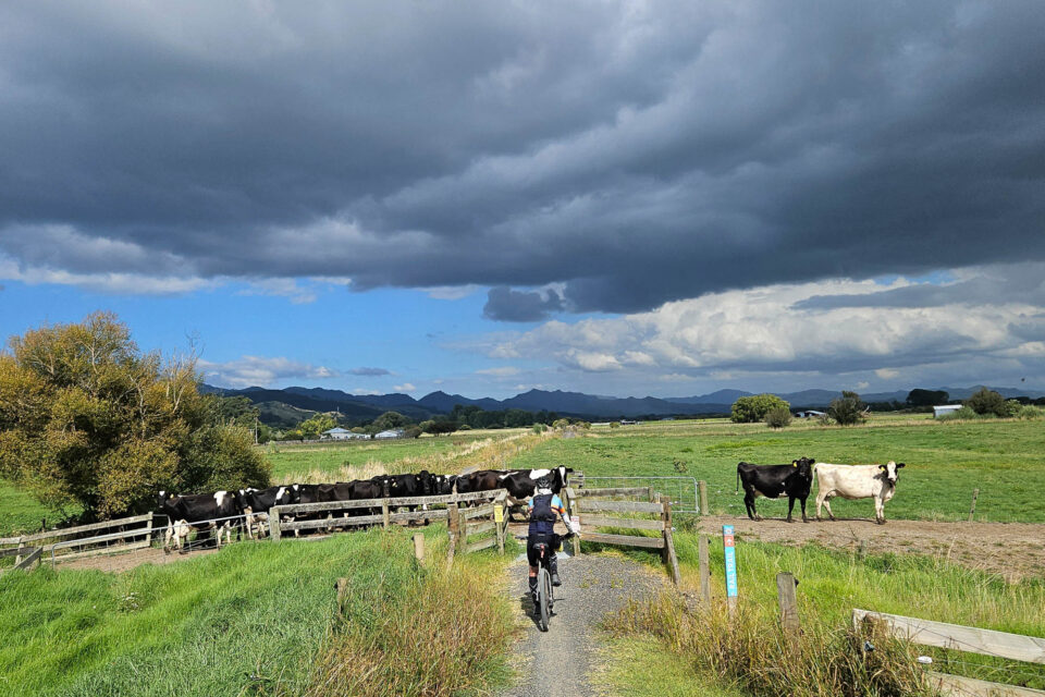Tour Aotearoa