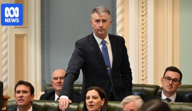 Queensland Olympics Minister Tim Mander stands down after referral to AFP