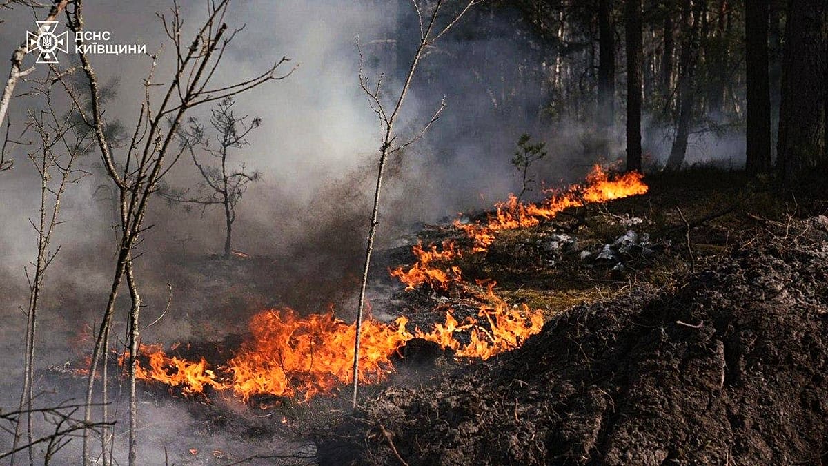 Large forest fire burning in Chernobyl exclusion zone after drone crash, Kyiv says
