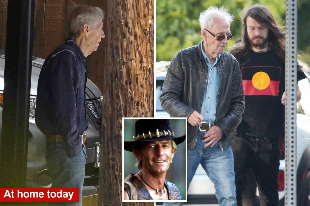 Paul Hogan's son arrested for domestic battery in Venice home