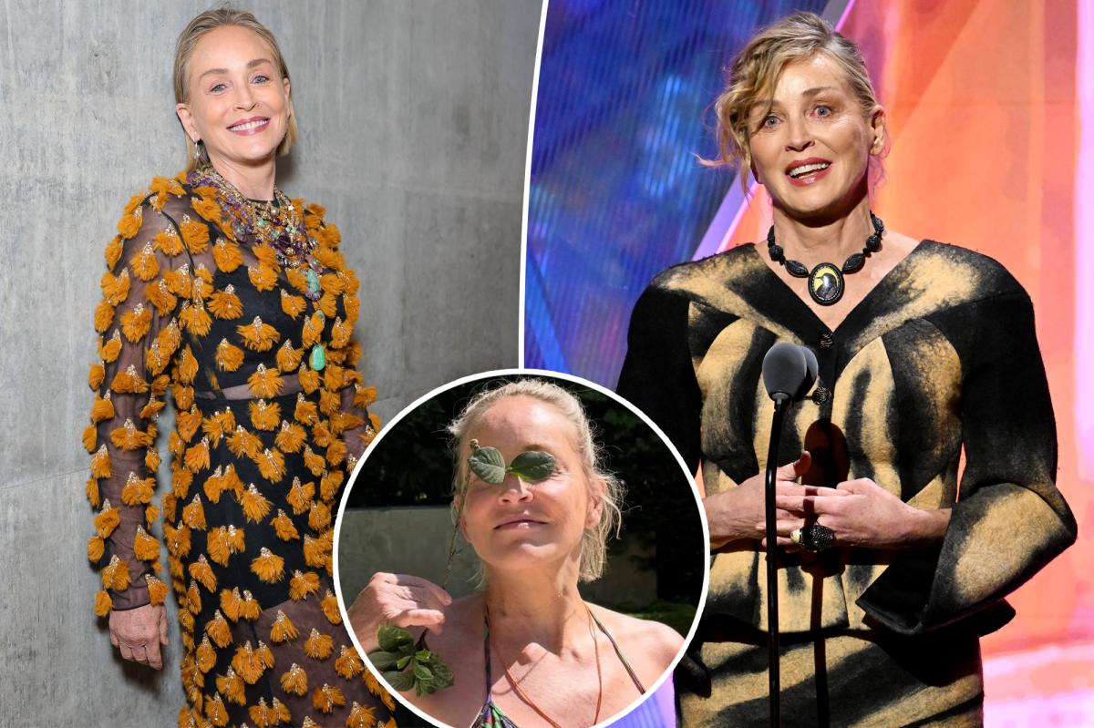 Sharon Stone turns heads with 'perfect' unfiltered bikini pic at 68