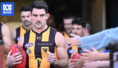 Hawthorn 'extremely disappointed' after AFL forces club to end Tasmanian partnership