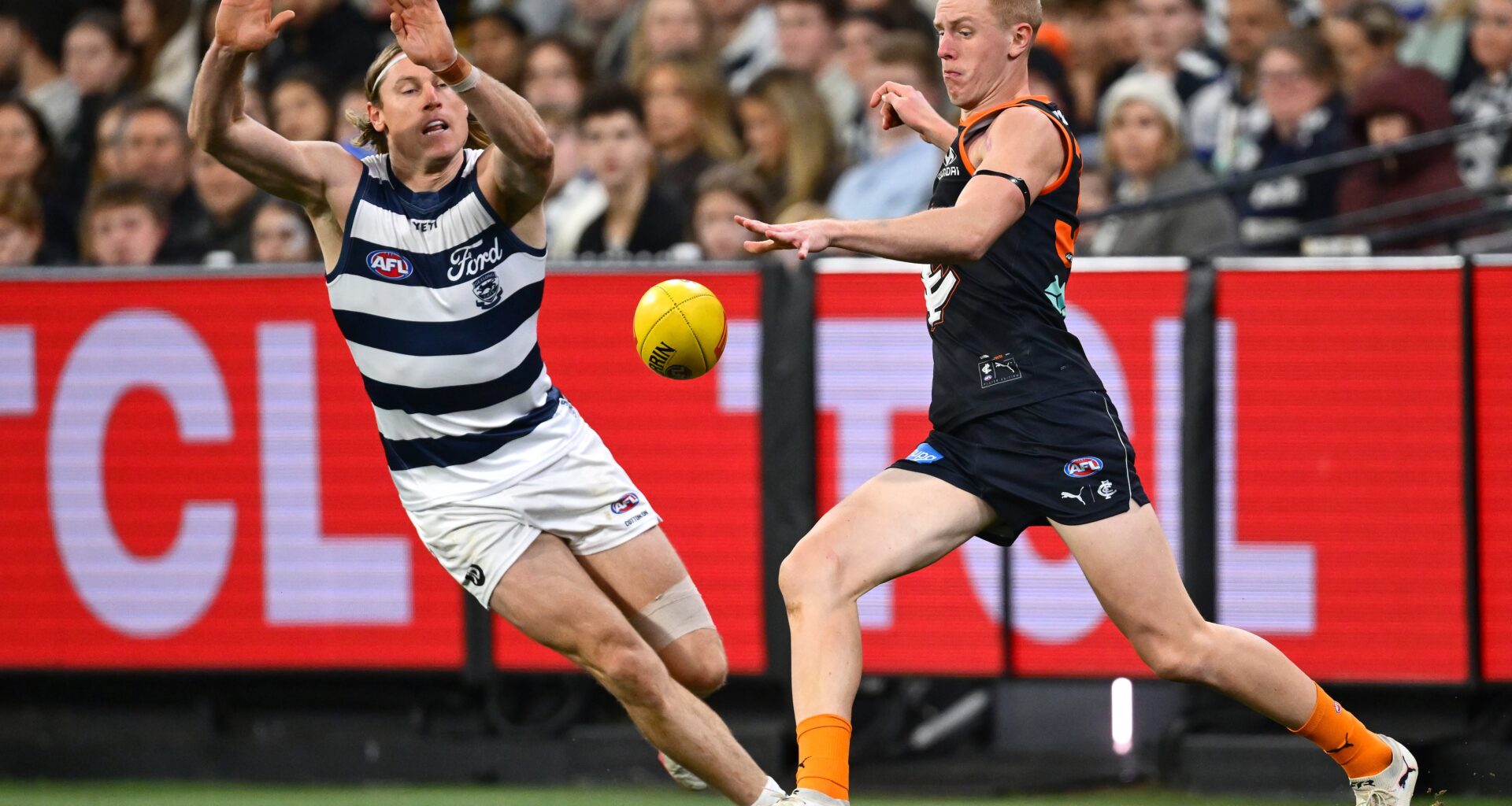 The young Blue who’s “becoming everyone’s favourite to play with”