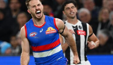 Dogs hang on to claim a cliffhanger against charging Pies