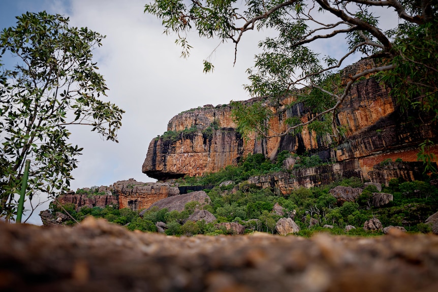A huge rocky escarpment above bushland
