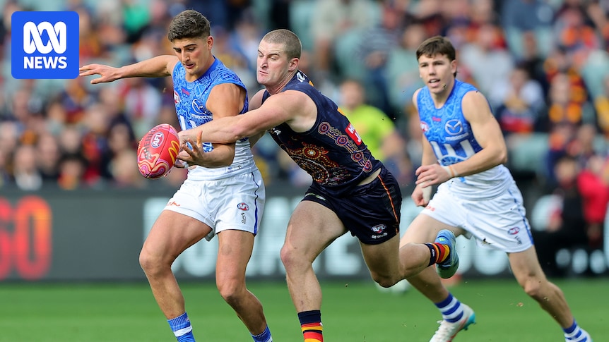 AFL Round 10: Crows vs Kangaroos, Demons vs Hawks, Blues vs Bulldogs live updates — blog, scores and stats