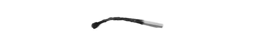 A drawing of a burnt match.
