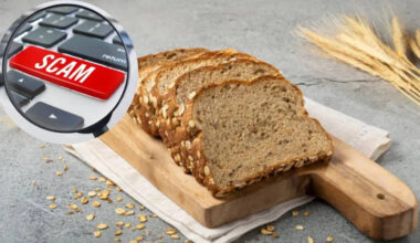 ‘Brown Bread Is the Biggest Health Scam’: Doctor Warns Most ‘Healthy’ Loaves Are Refined Flour in Disguise