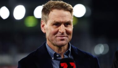 Kane Cornes forced to step down from official AFL role on All-Australian panel