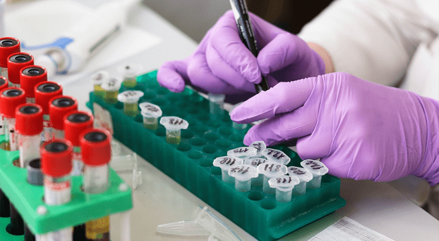 medical research 7 ©Belova59 – pixabay.com