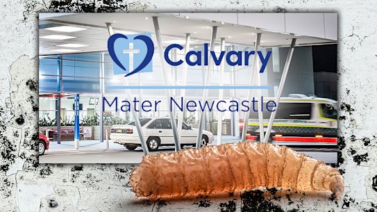 Calvary Mater Newcastle Hospital is grappling with an ongoing mould and maggot infestation.