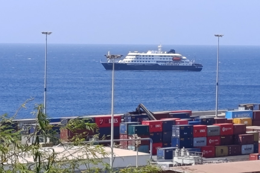 A cruise ship seen off the coast of a container port.