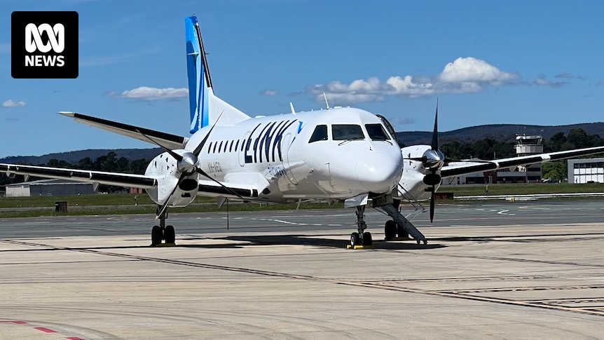 Link Airways suspends Shellharbour flights as fuel costs soar and demand slumps