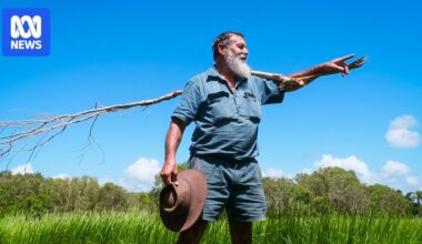 How salt water is restoring life to parts of the Queensland coast