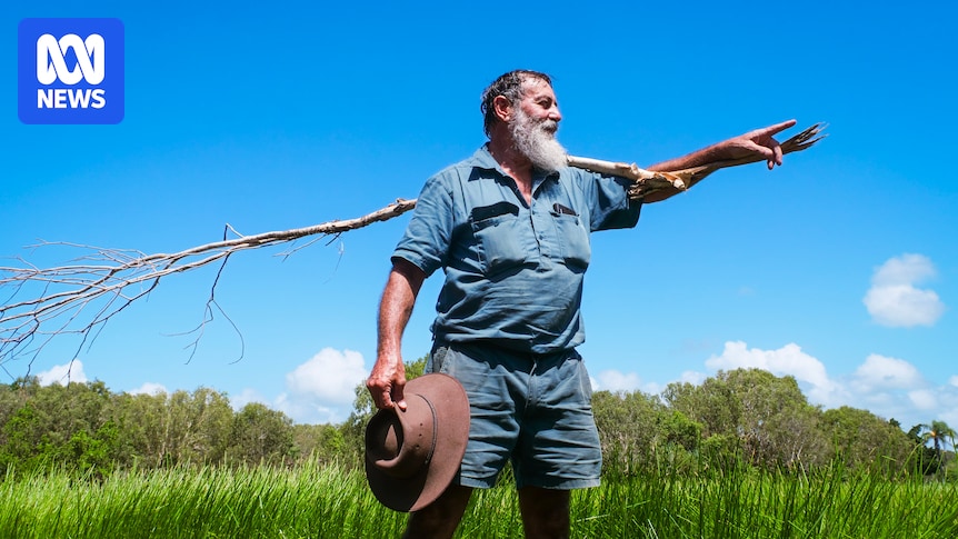 How salt water is restoring life to parts of the Queensland coast