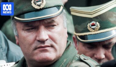 Ratko Mladić's lawyers say 'Butcher of Bosnia' near death and should be released