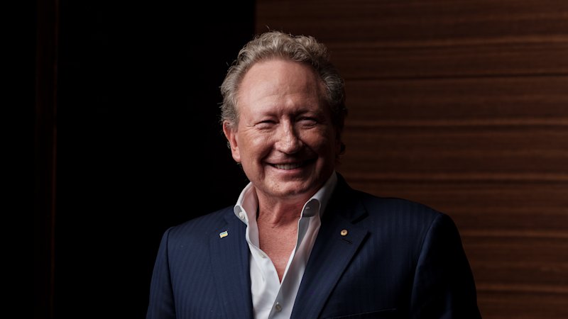 ‘Twiggy’ Forrest’s warning to Albanese and Labor on ‘micromanaging’
