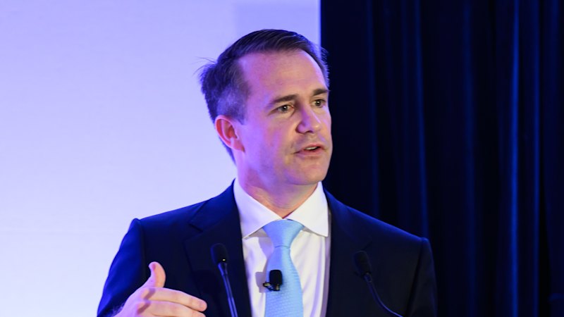 Australian AI startup’s owner defends share price fluctuation