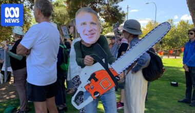 SA government prepped to chop down more than 1,000 trees for Adelaide Parklands projects