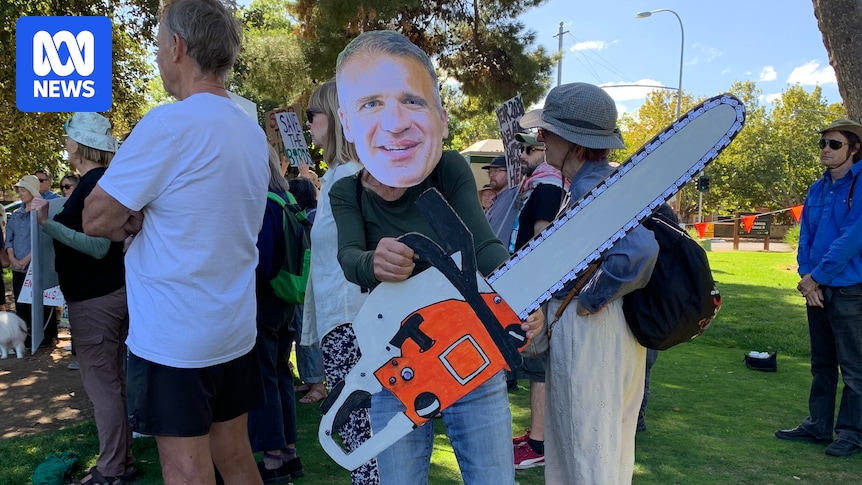 SA government prepped to chop down more than 1,000 trees for Adelaide Parklands projects