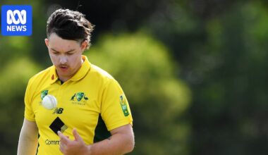 Deaf and blind cricketers feel disrespected by changes to Cricket Australia's funding