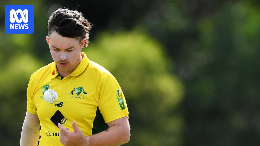 Deaf and blind cricketers feel disrespected by changes to Cricket Australia's funding